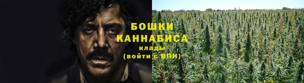 ECSTASY Лагань