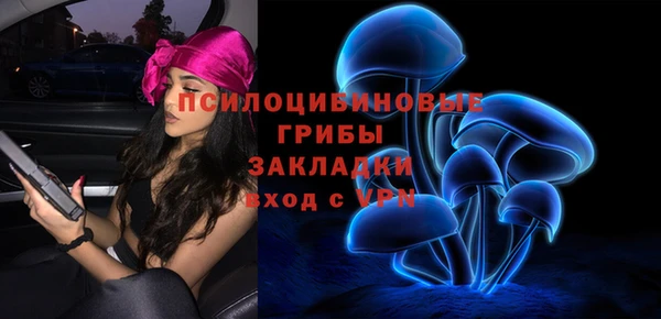 стаф Кукмор