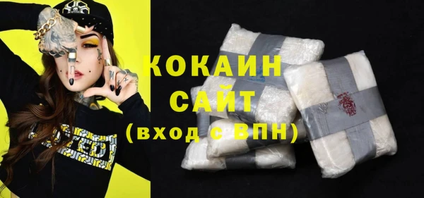 сатива Куйбышев