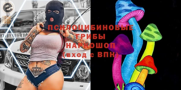 сатива Куйбышев