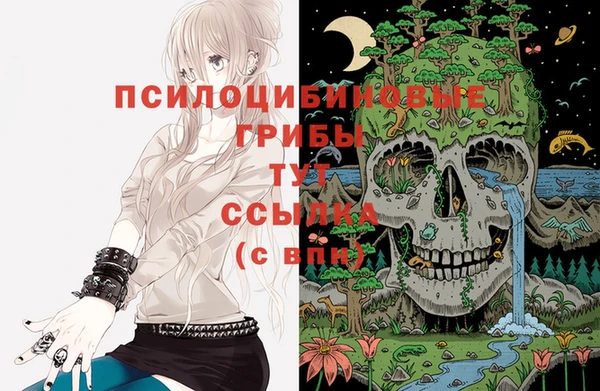 ECSTASY Лагань