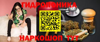 2c-b Кингисепп
