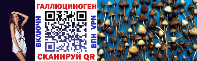 где купить наркоту Мелеуз Галлюциногенные грибы MAGIC MUSHROOMS