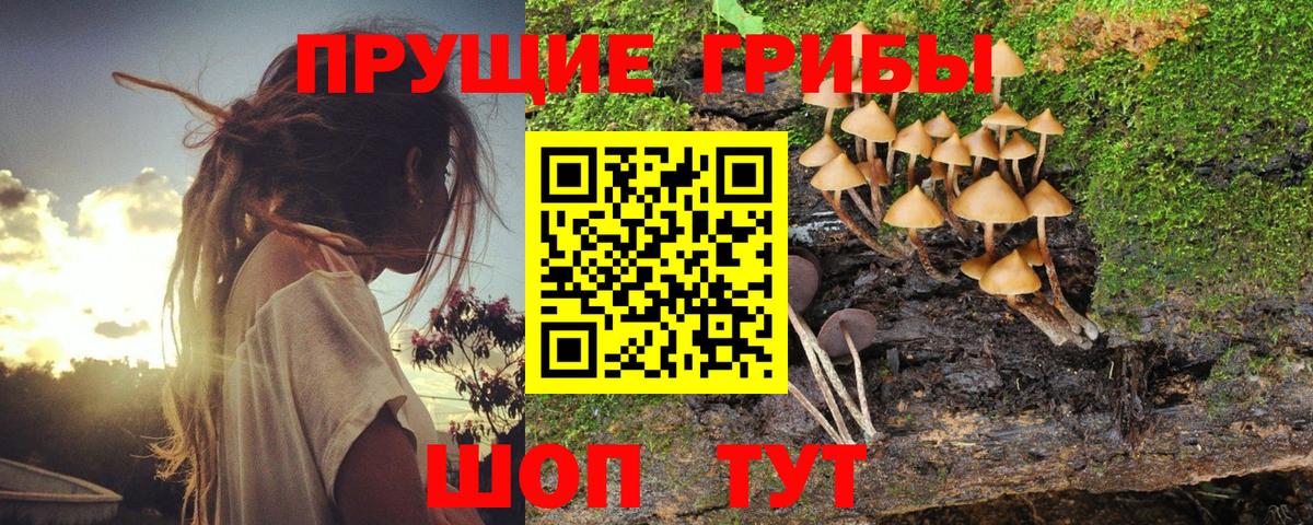 Псилоцибиновые грибы GOLDEN TEACHER Мелеуз